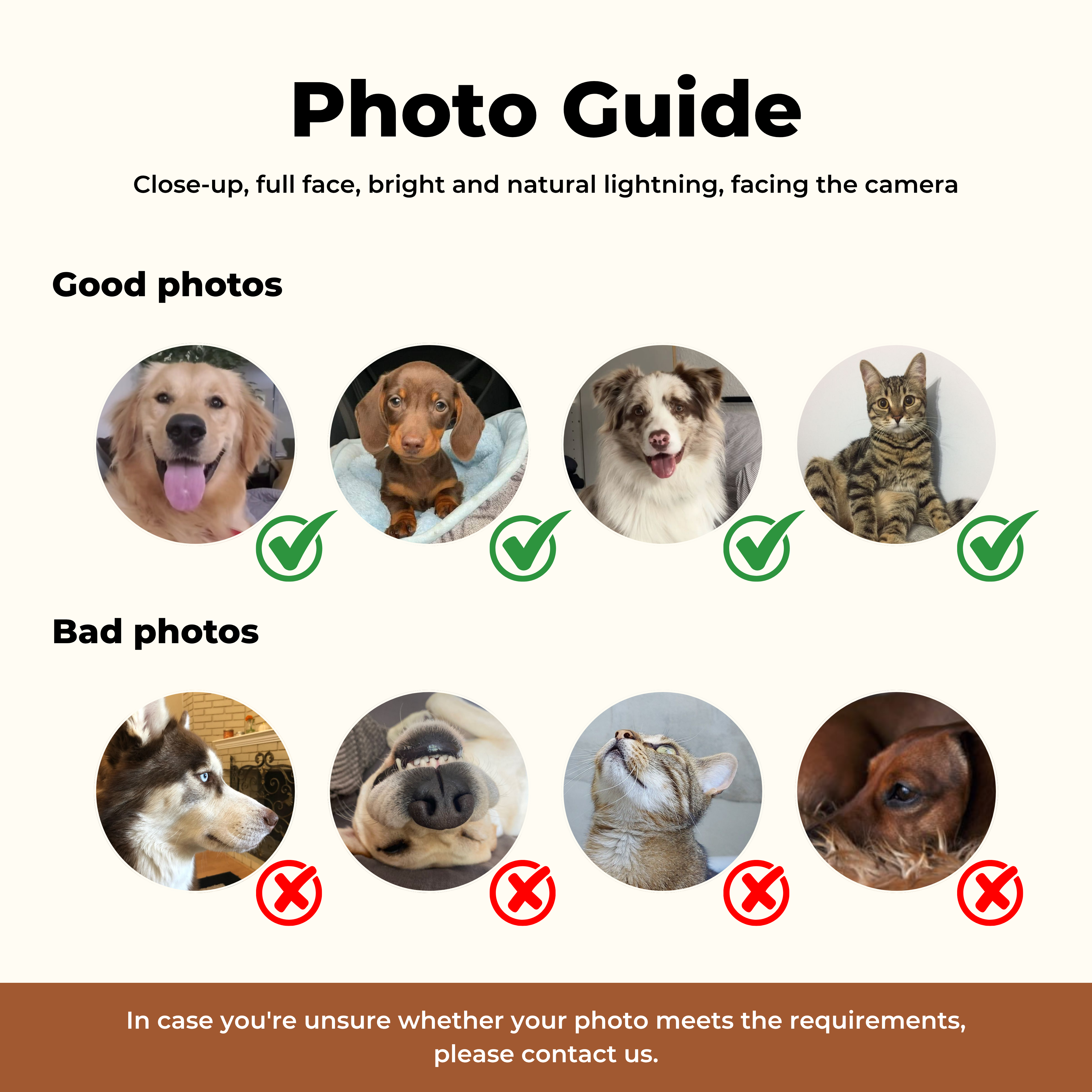 Custom Pet Poster Birthday Celebration Portrait with Pink Background – Personalized High-Resolution Matte Print for Wall Art, Home Decor, or Unique Gifts for Pet Lovers (Frame Not Included)